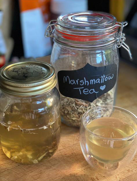 Marhsmallow Tea - A Soothing and Healing Tonic